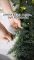 9FT Pre-lit Christmas Garland with Lights Cedar Garland Christmas Decor